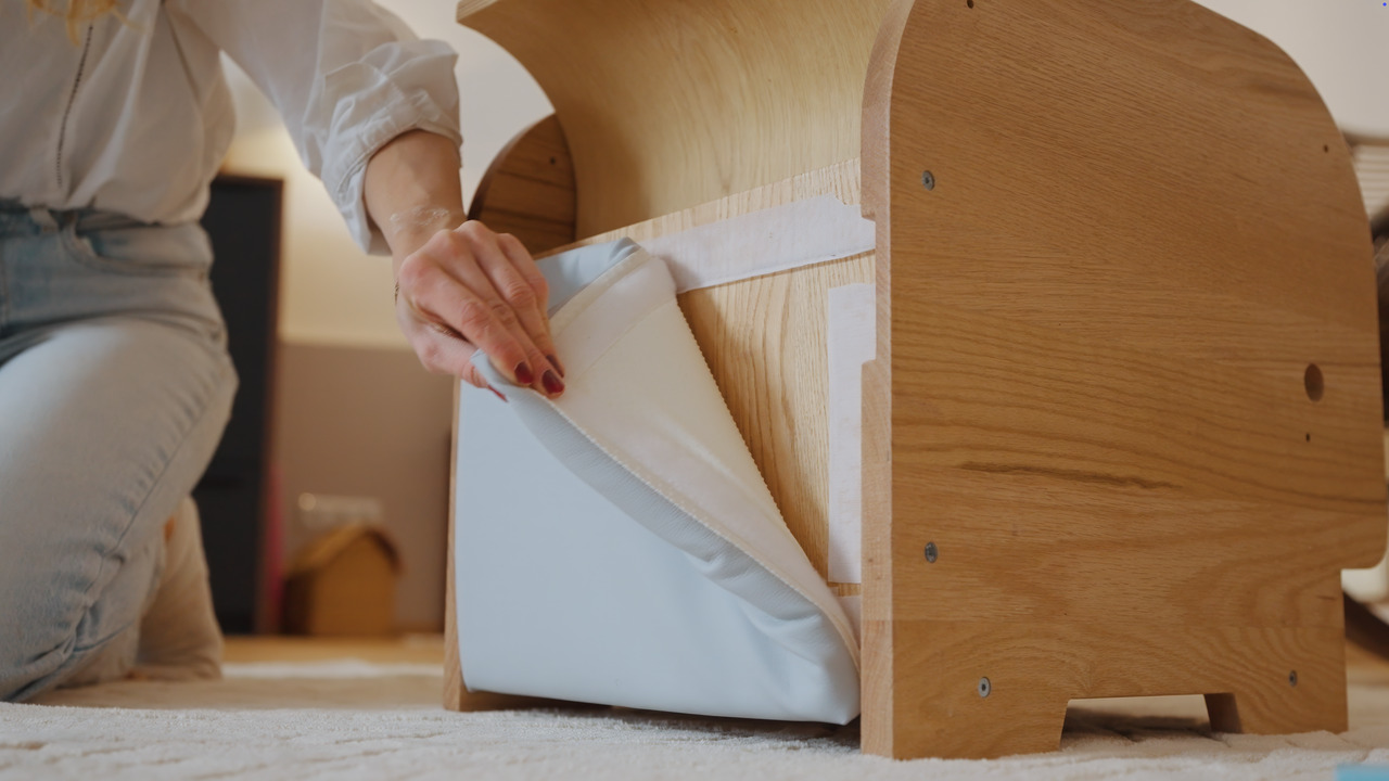 Ollie detail (replace)